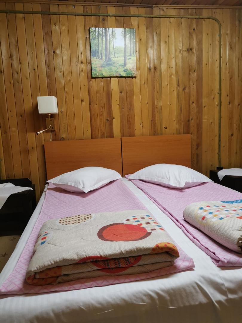 Cabana Fantanita Cu Brazi