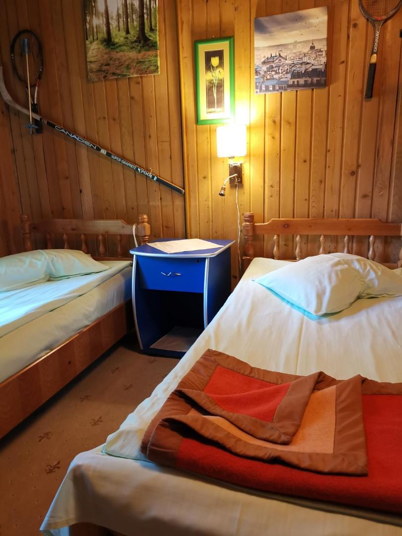 Cabana Fantanita Cu Brazi