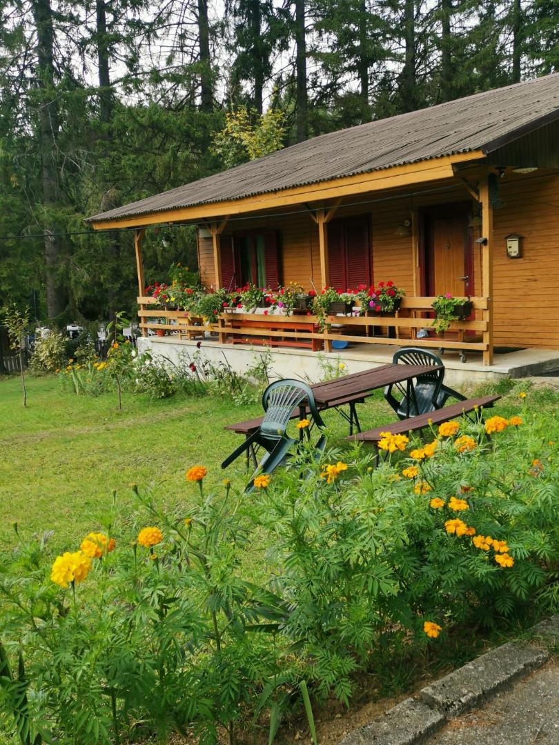 Cabana Fantanita Cu Brazi