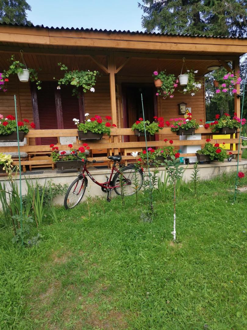 Cabana Fantanita Cu Brazi