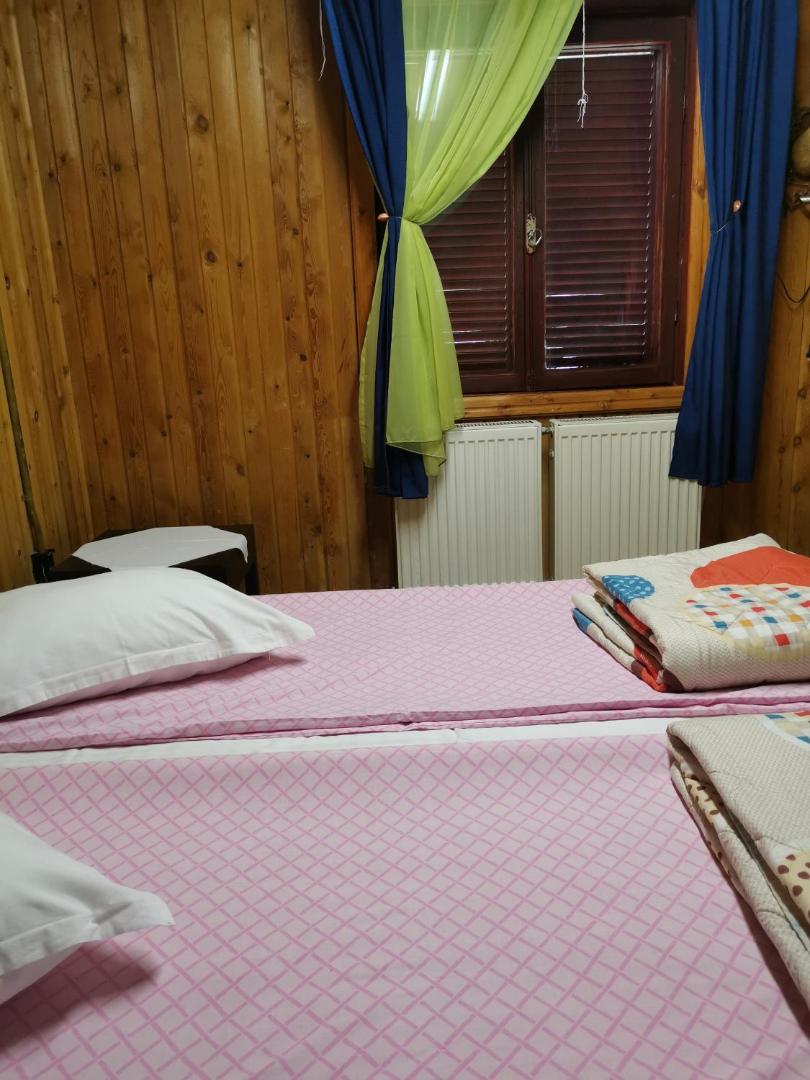 Cabana Fantanita Cu Brazi