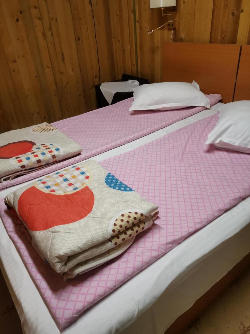 Cabana Fantanita Cu Brazi