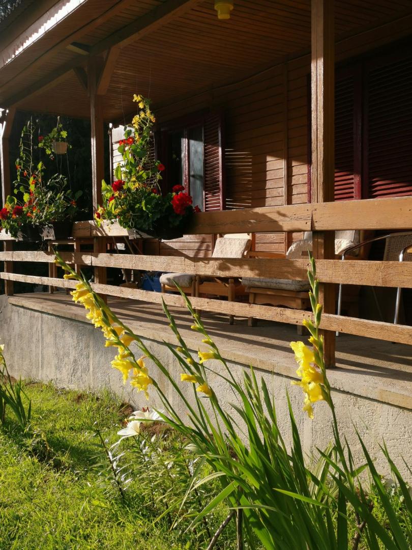 Cabana Fantanita Cu Brazi