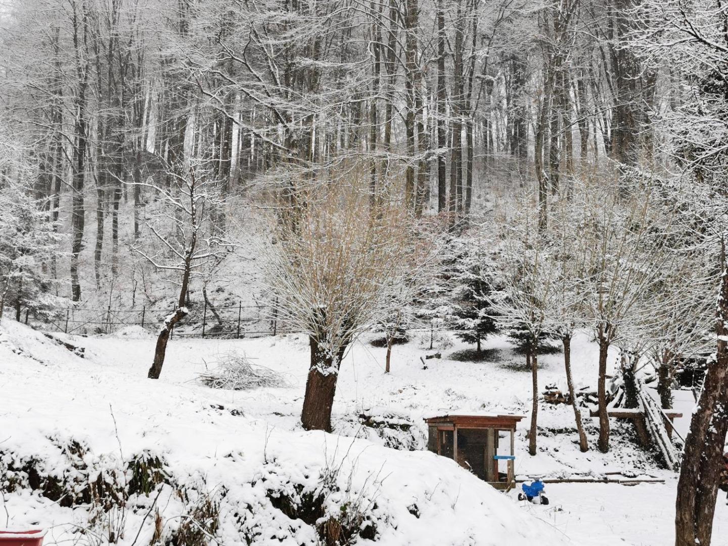 Soho Lodge Rasnov
