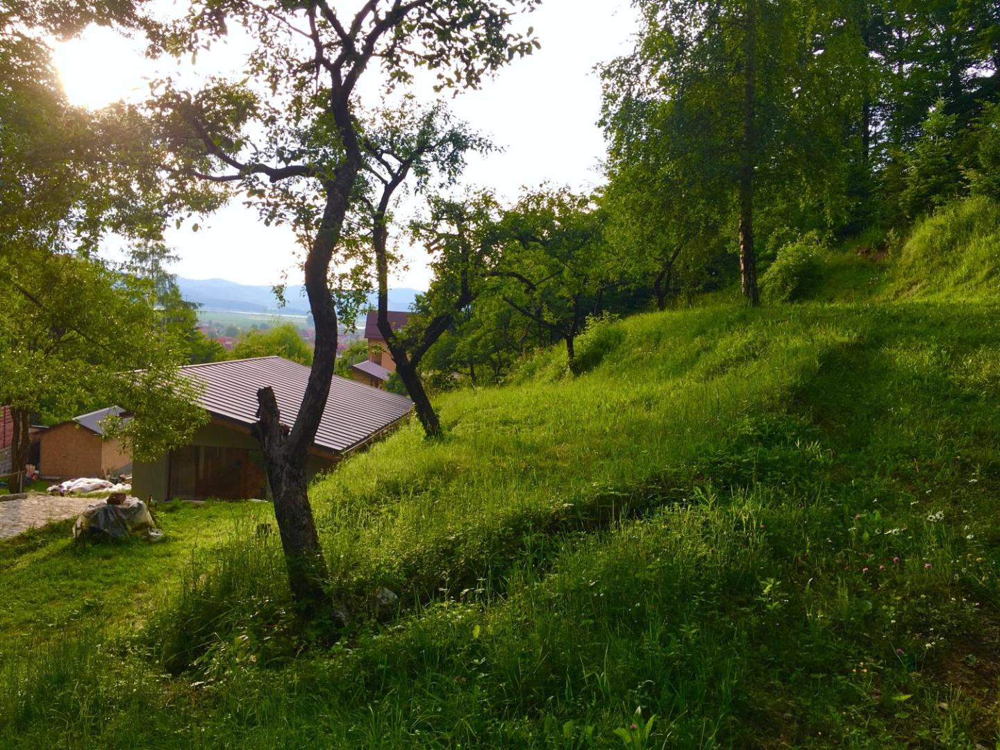 Soho Lodge Rasnov