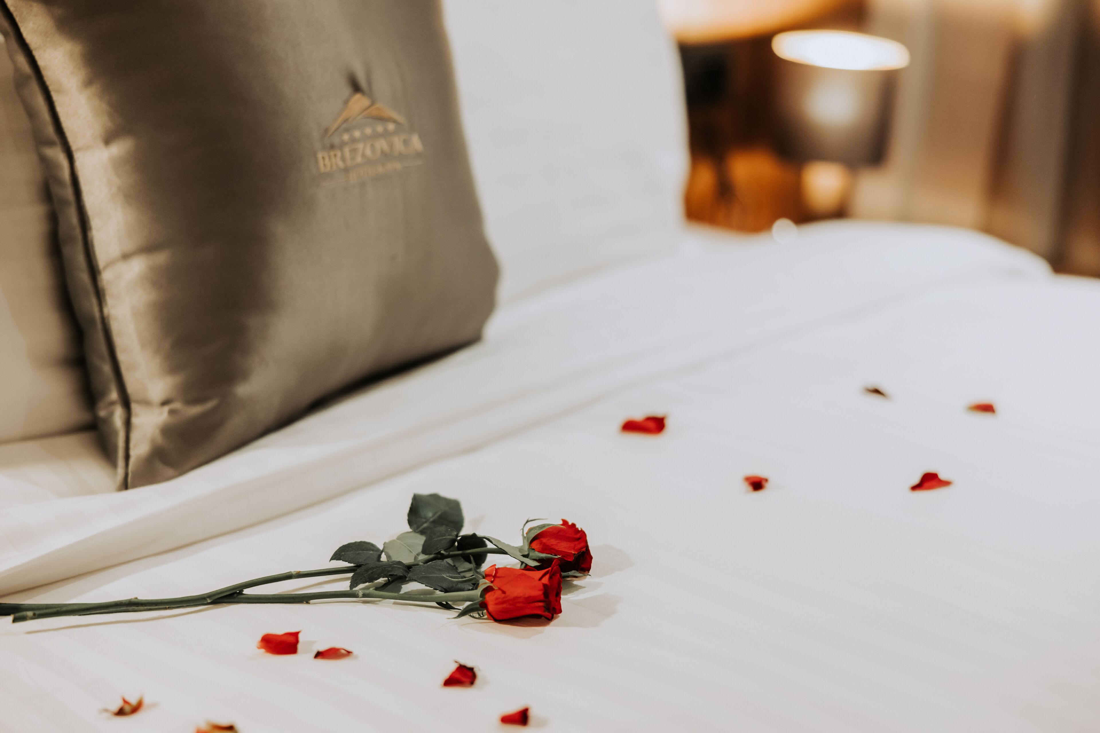 Brezovica Hotel & Spa
