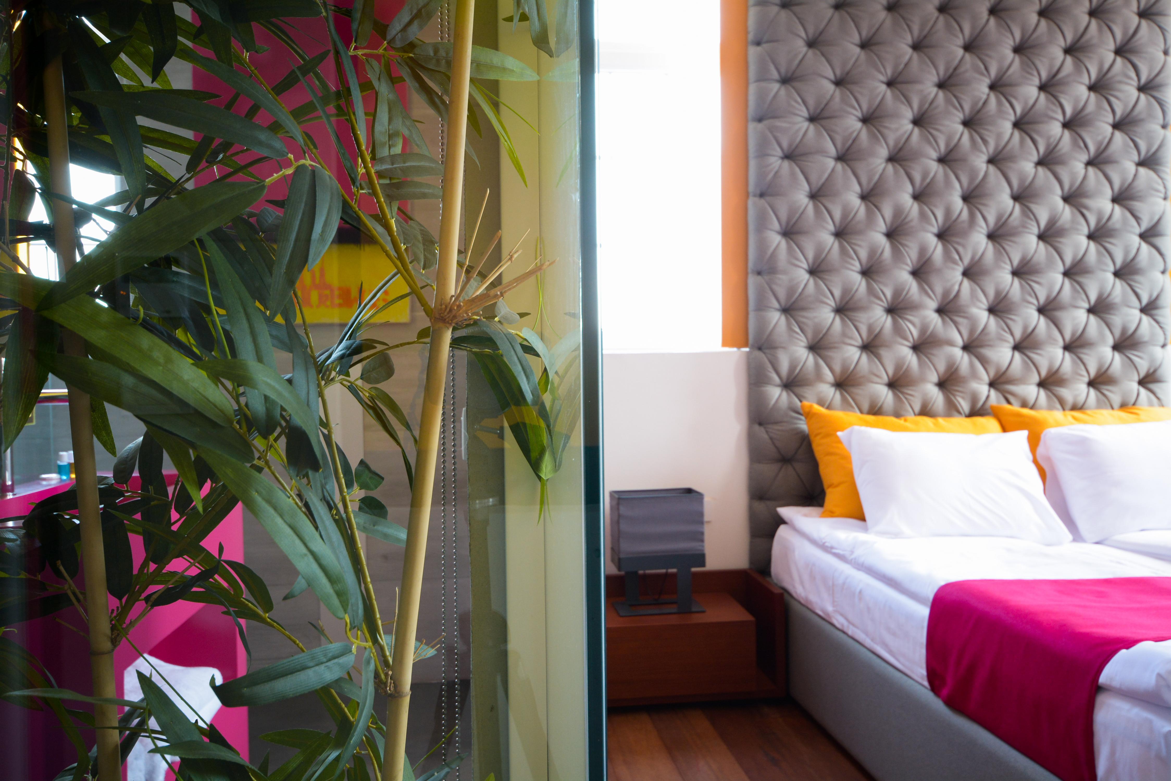 Boutique Rooms