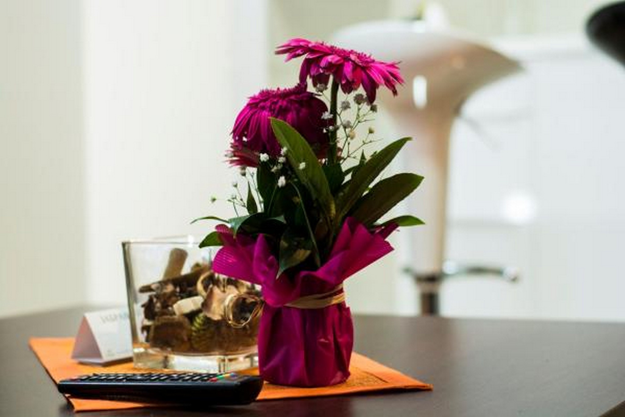 Bridge Apart Belgrade