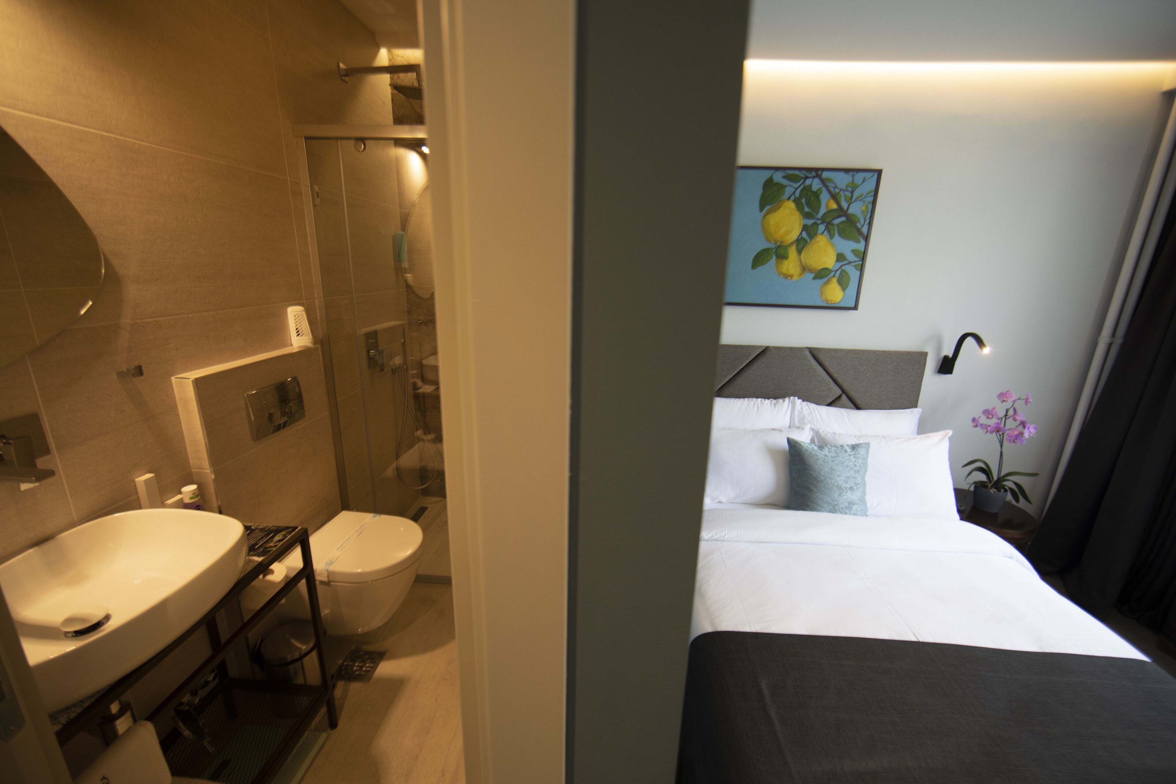 Hotel Botanica