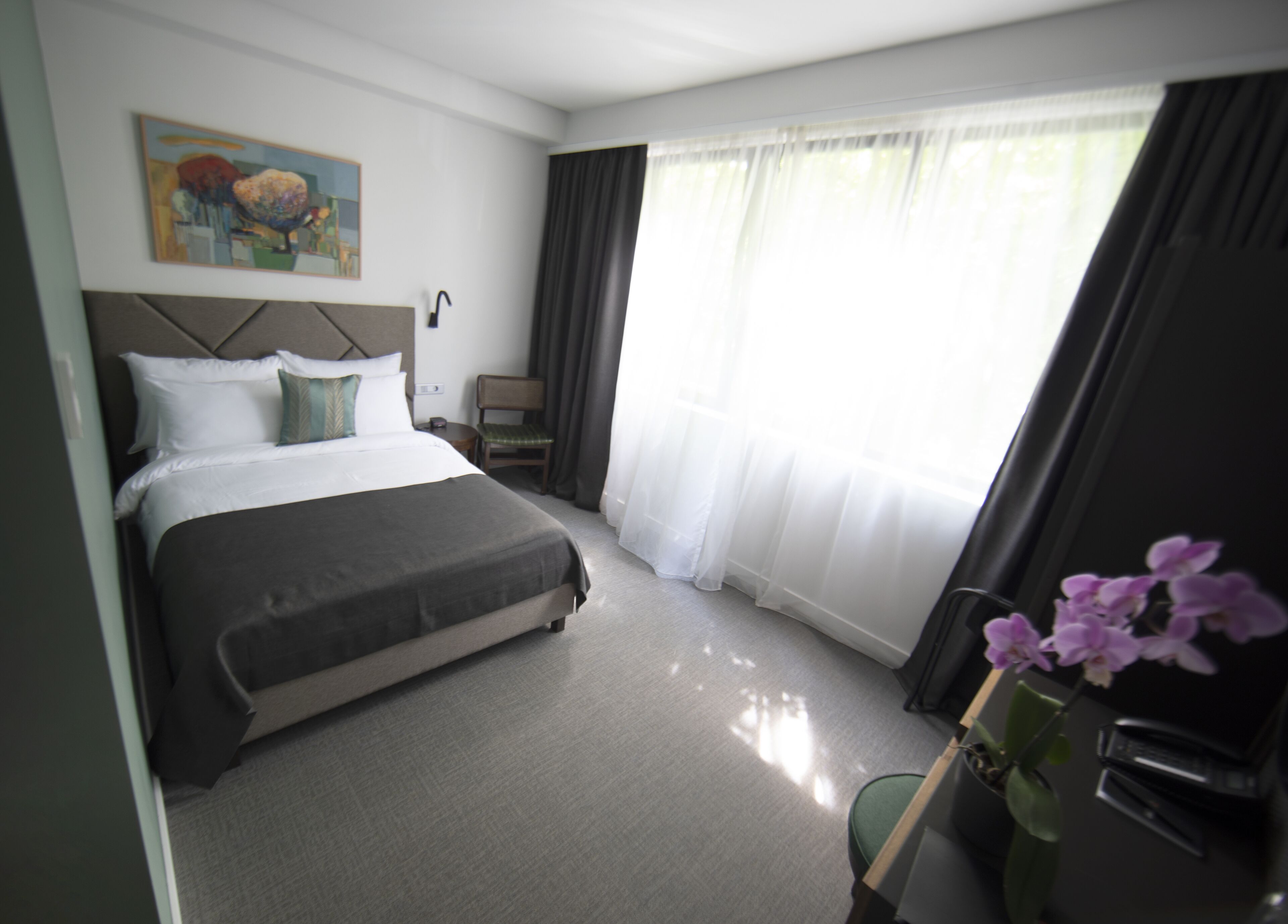 Hotel Botanica