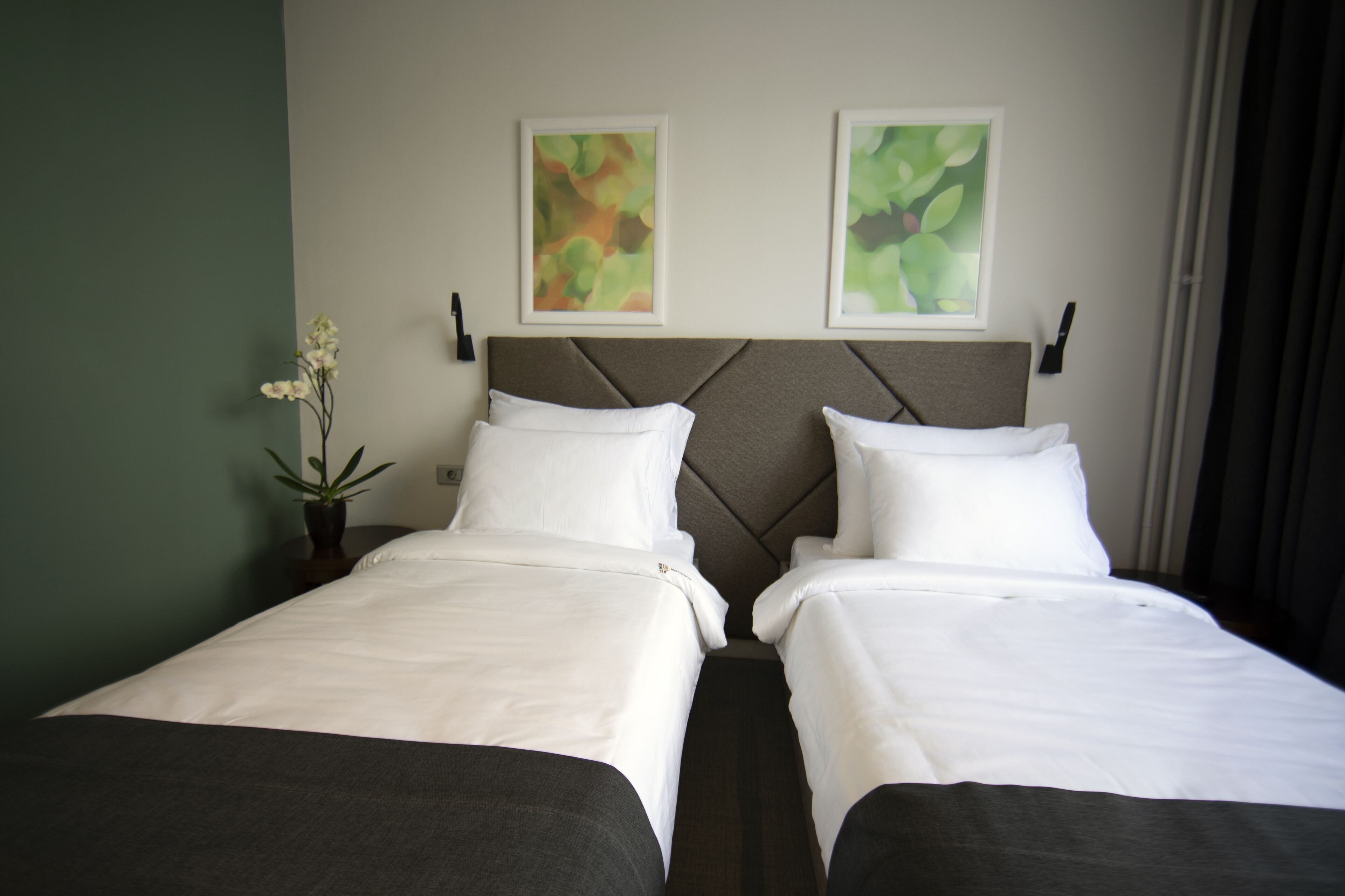 Hotel Botanica
