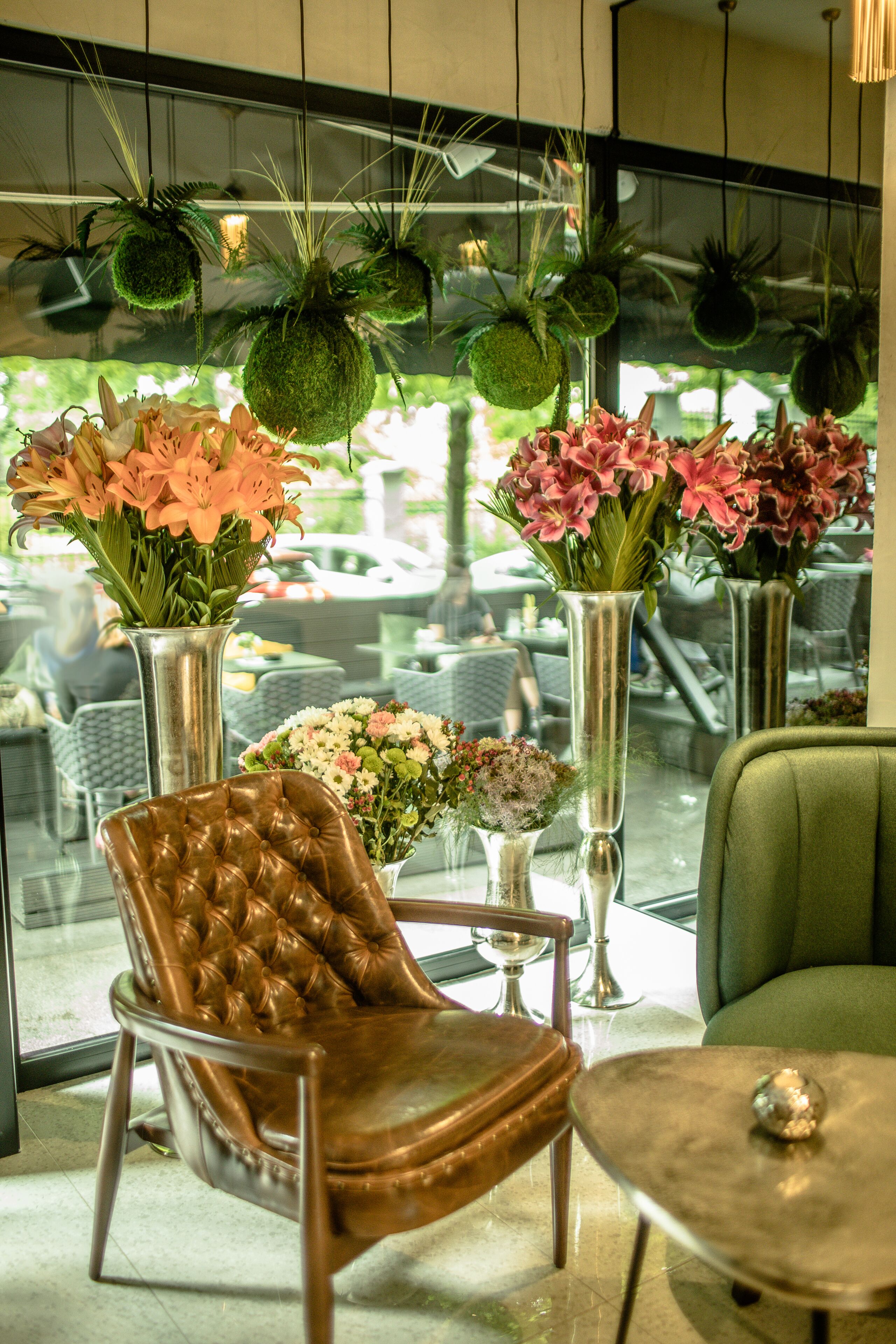 Hotel Botanica
