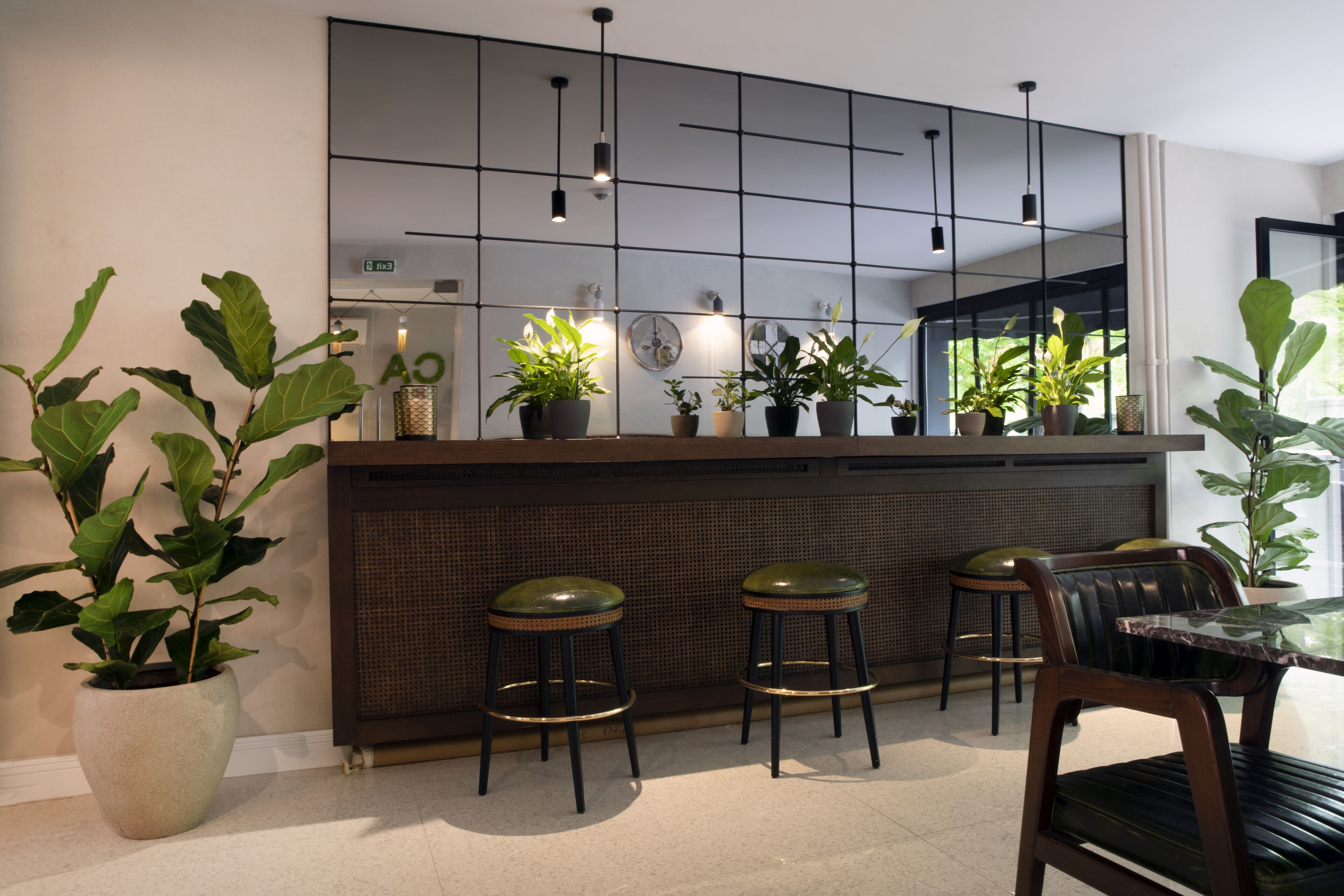 Hotel Botanica