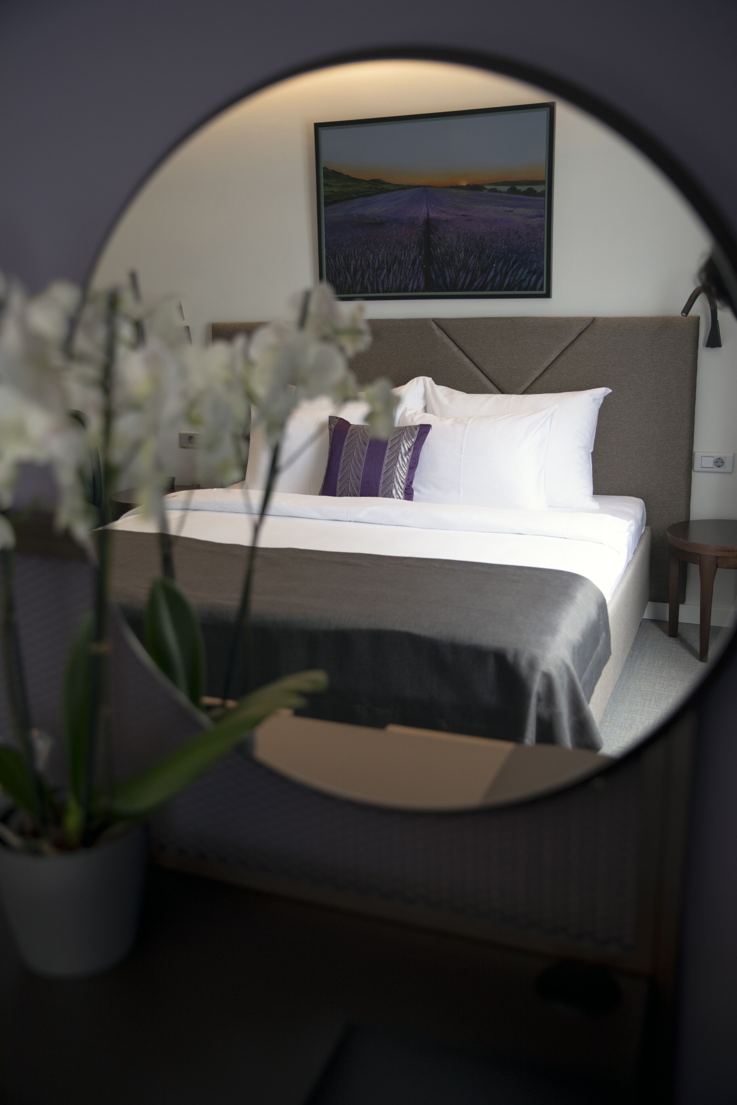 Hotel Botanica
