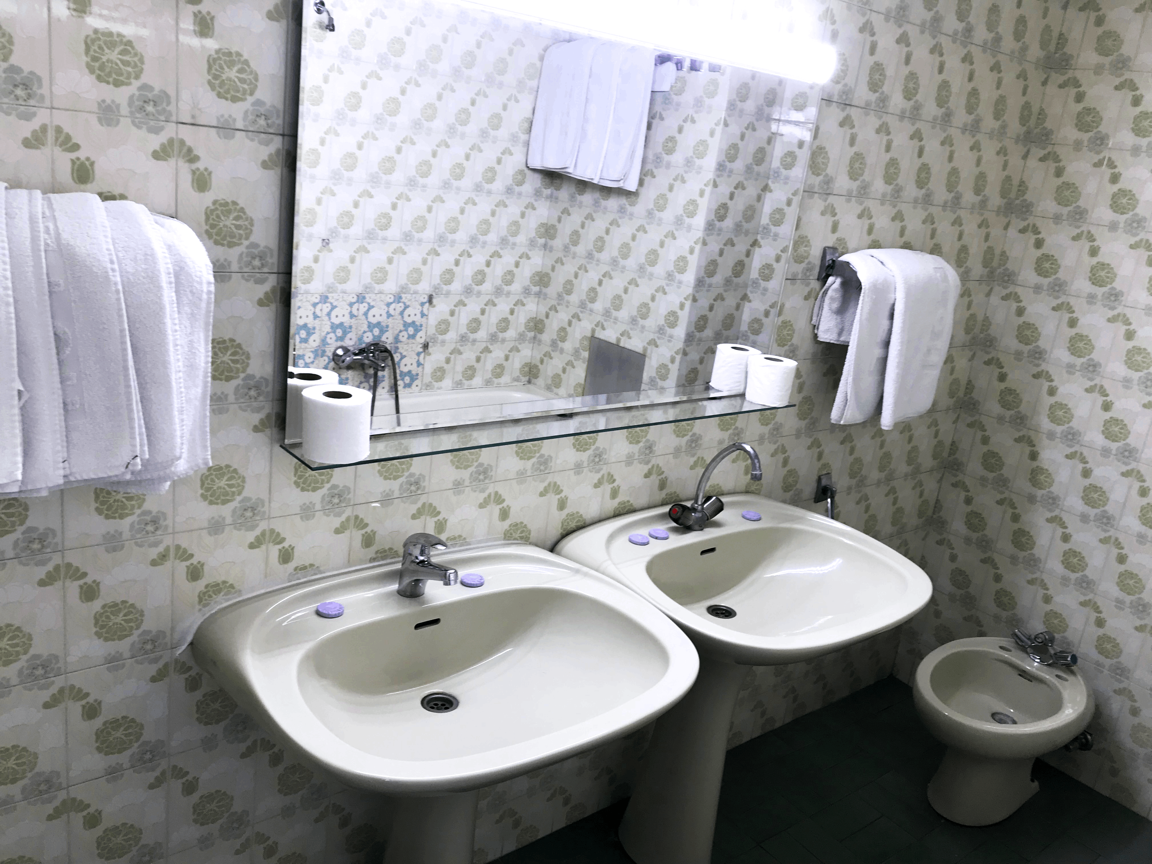 Hotel Slavija