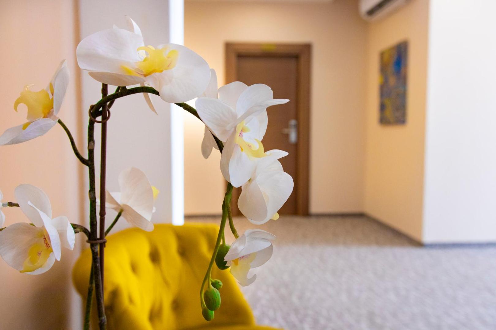 Luxury Rooms Velika Skadarlija