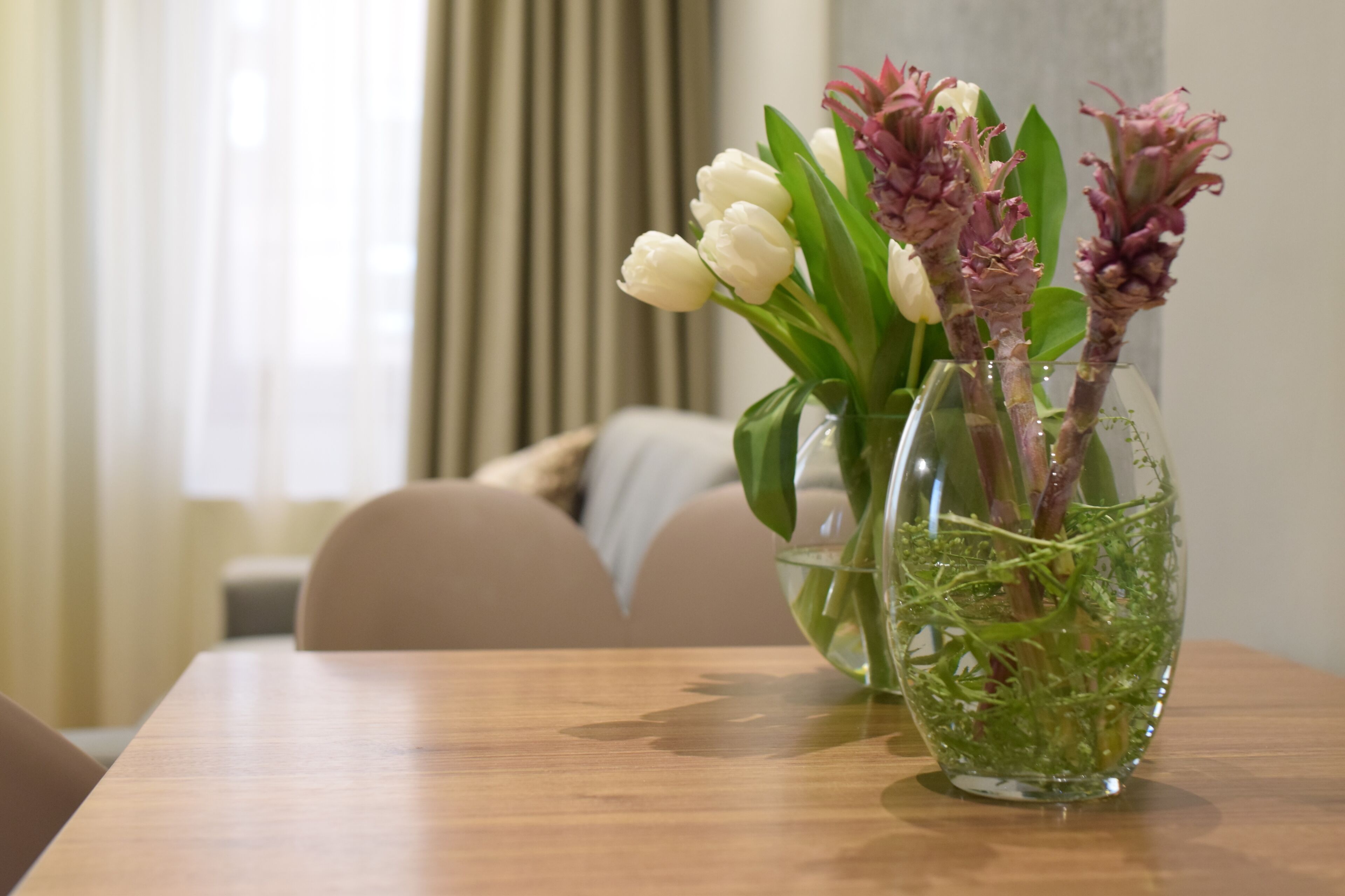 NV Luxury Suites & Spa Belgrade