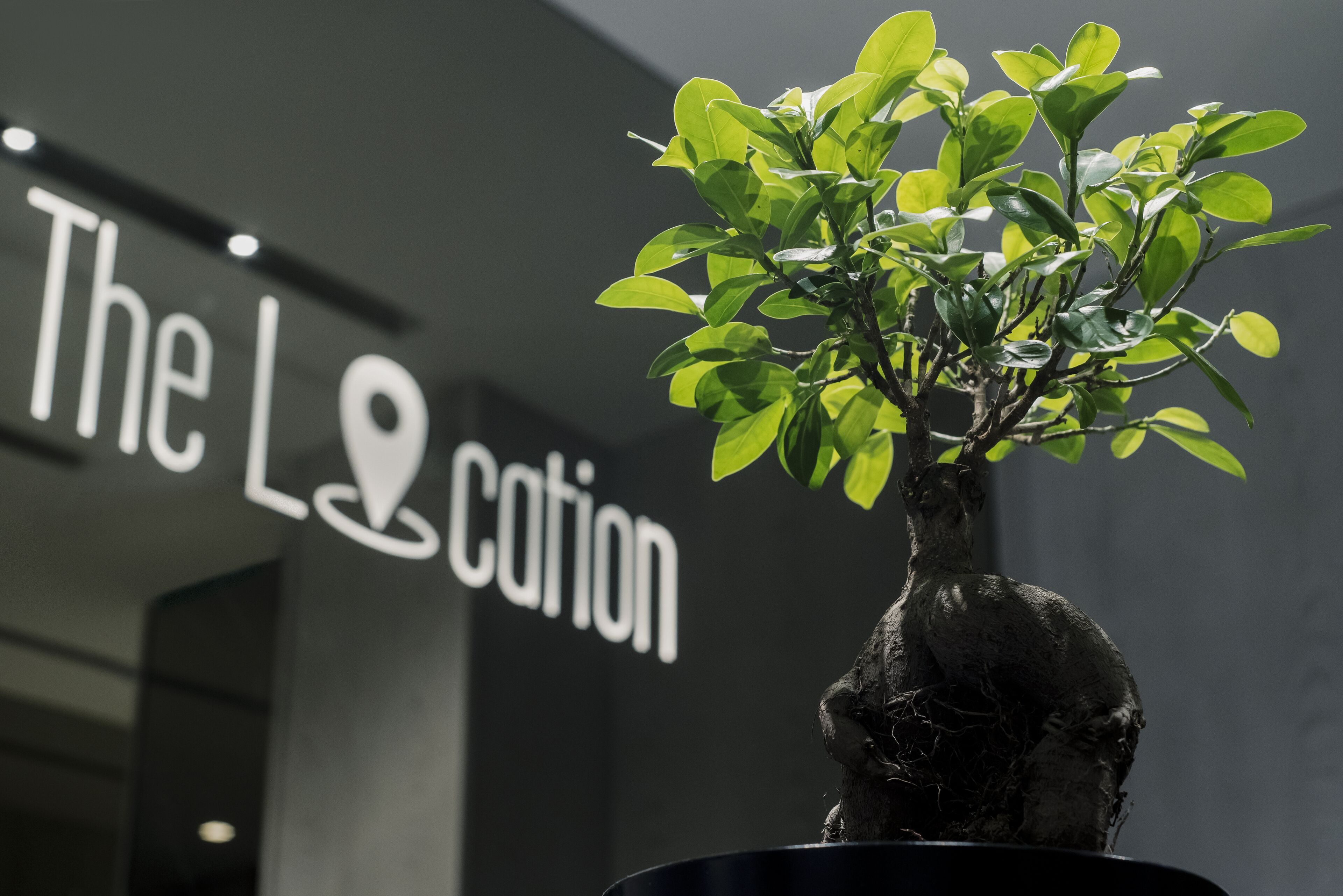 The Location Hotel