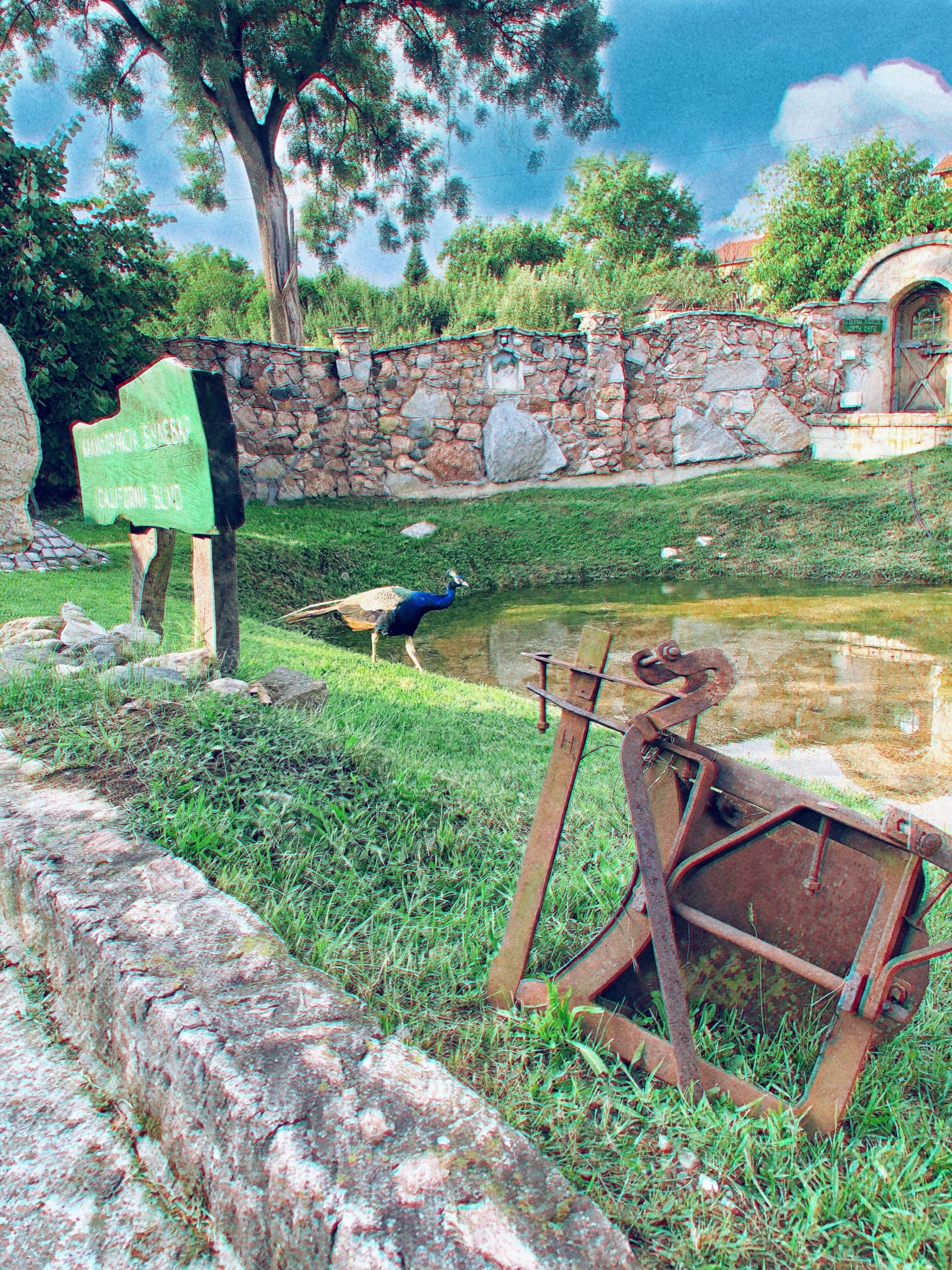 Serbian Folk Resort Rashaville