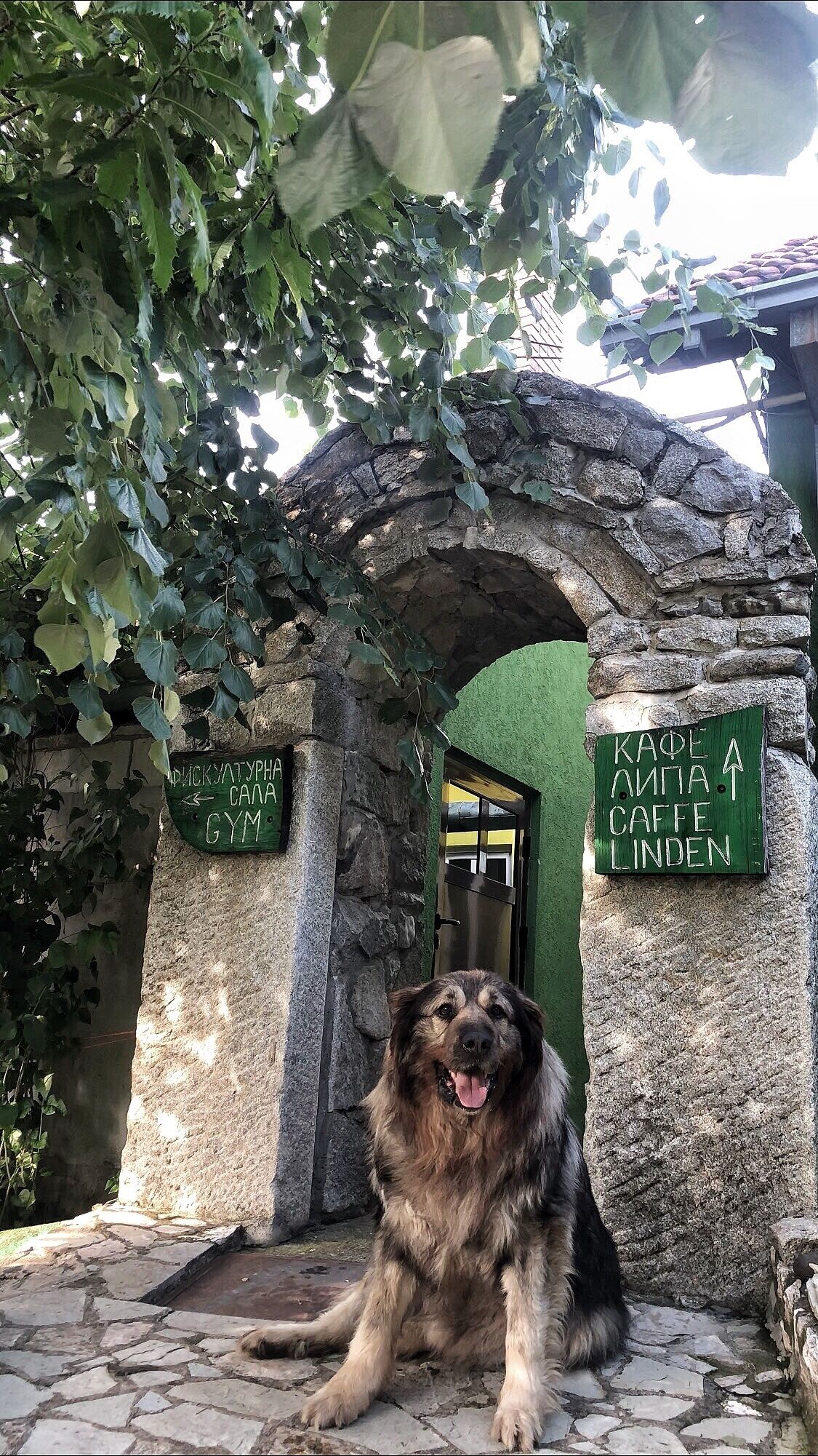 Serbian Folk Resort Rashaville