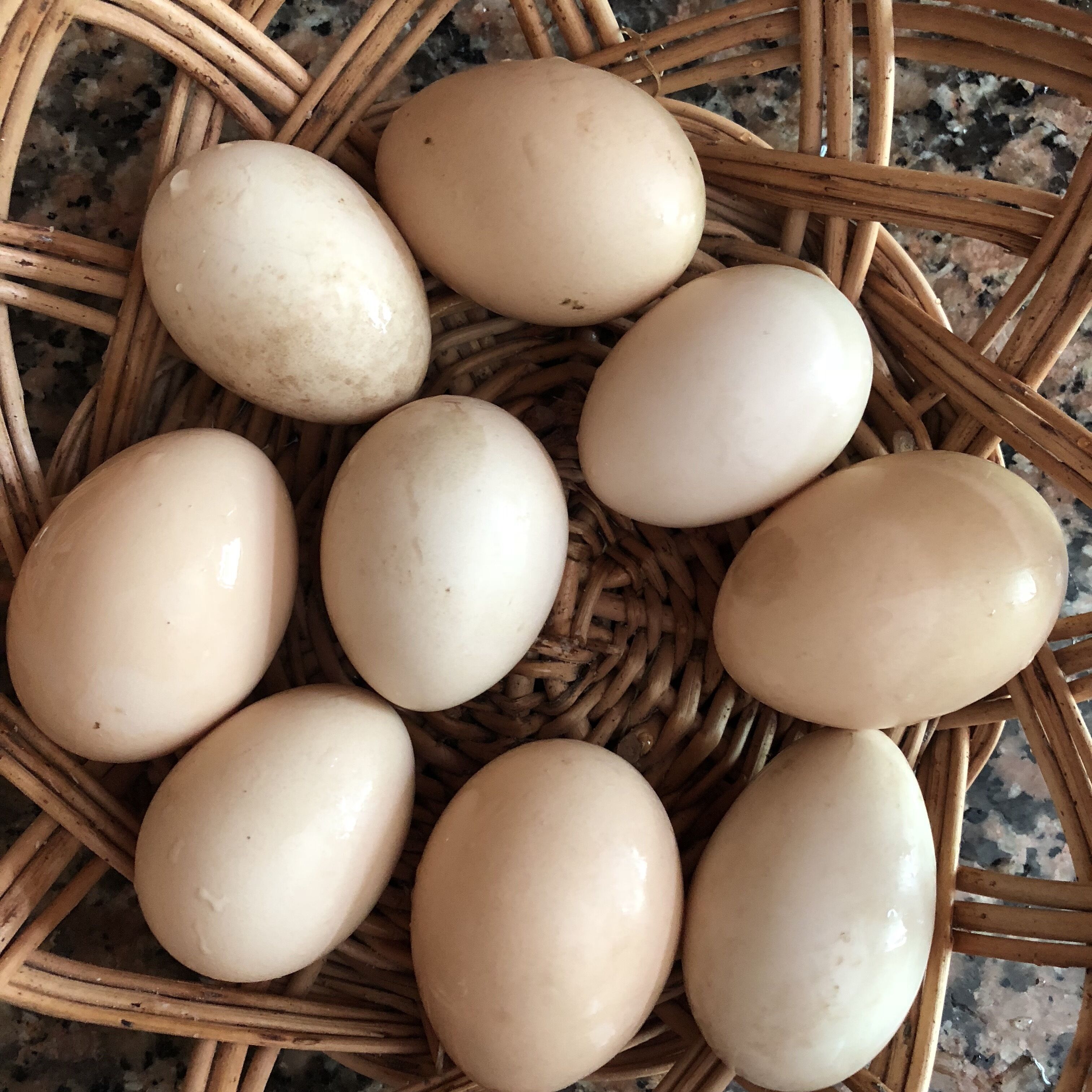 Serbian Folk Resort Rashaville