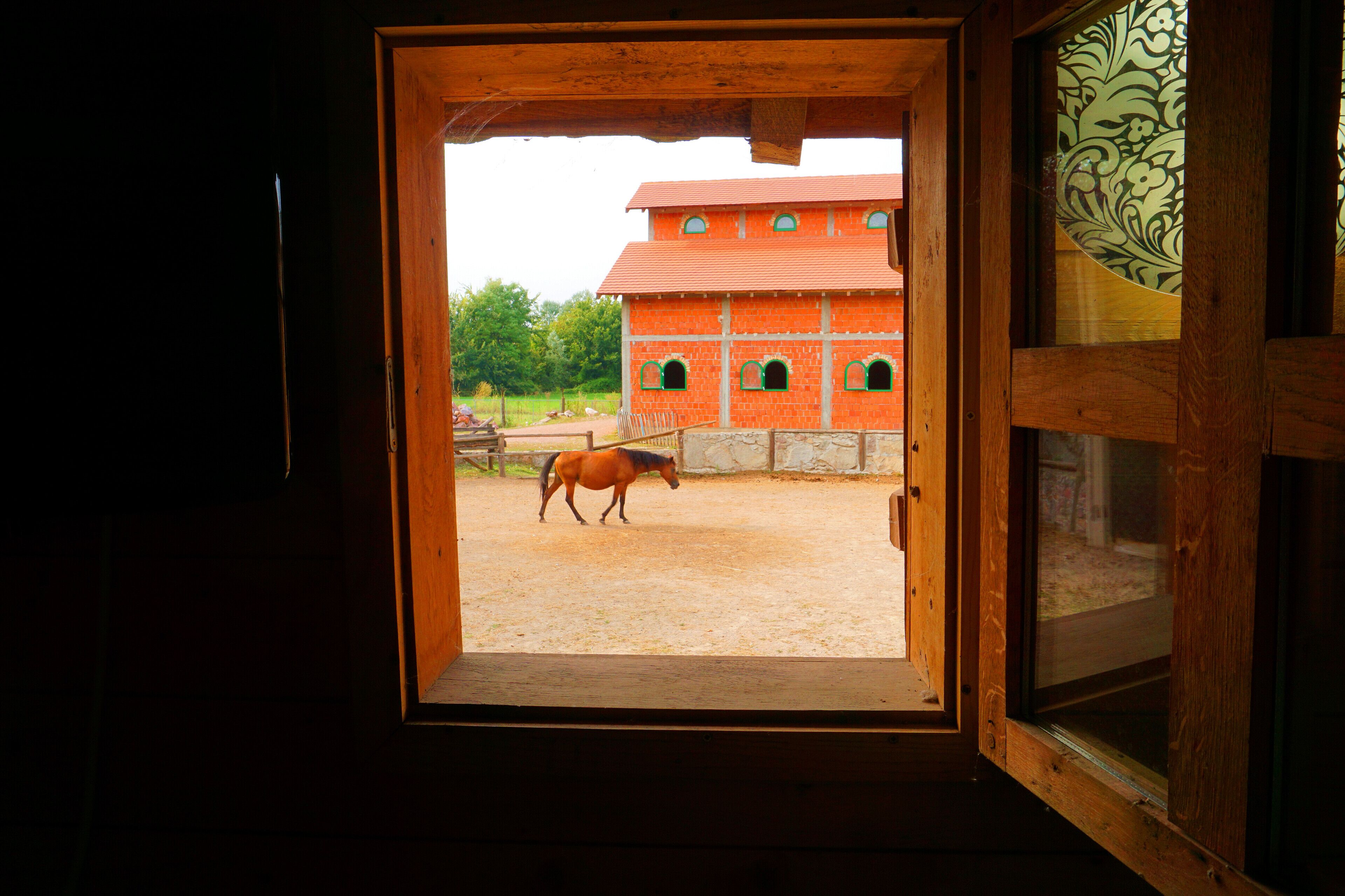 Serbian Folk Resort Rashaville