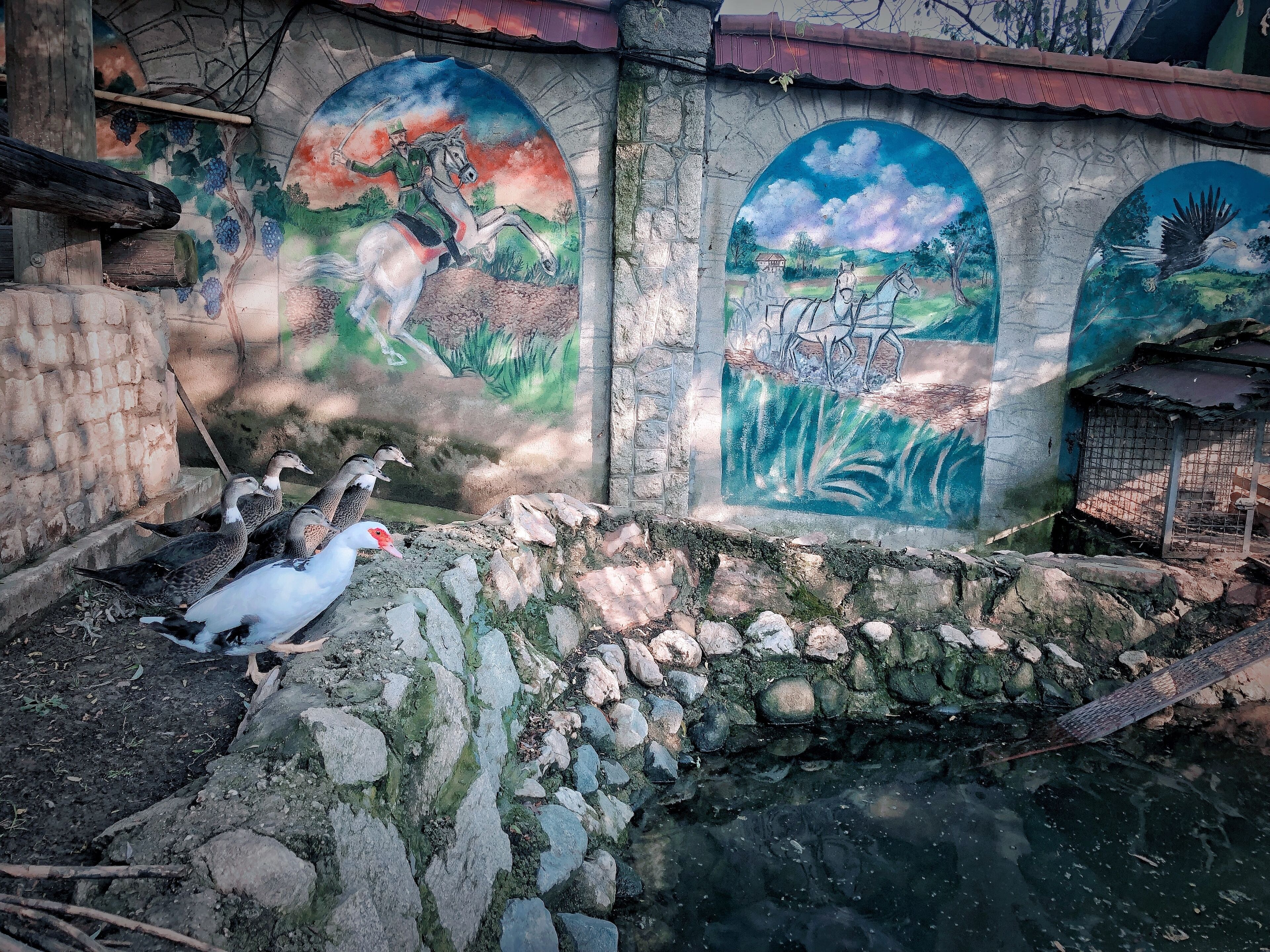 Serbian Folk Resort Rashaville