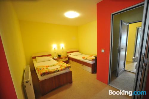 Guest House Brankov Konak