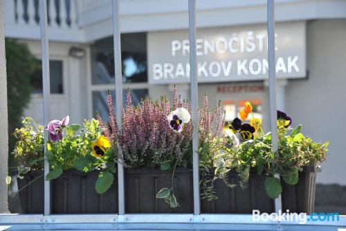 Guest House Brankov Konak