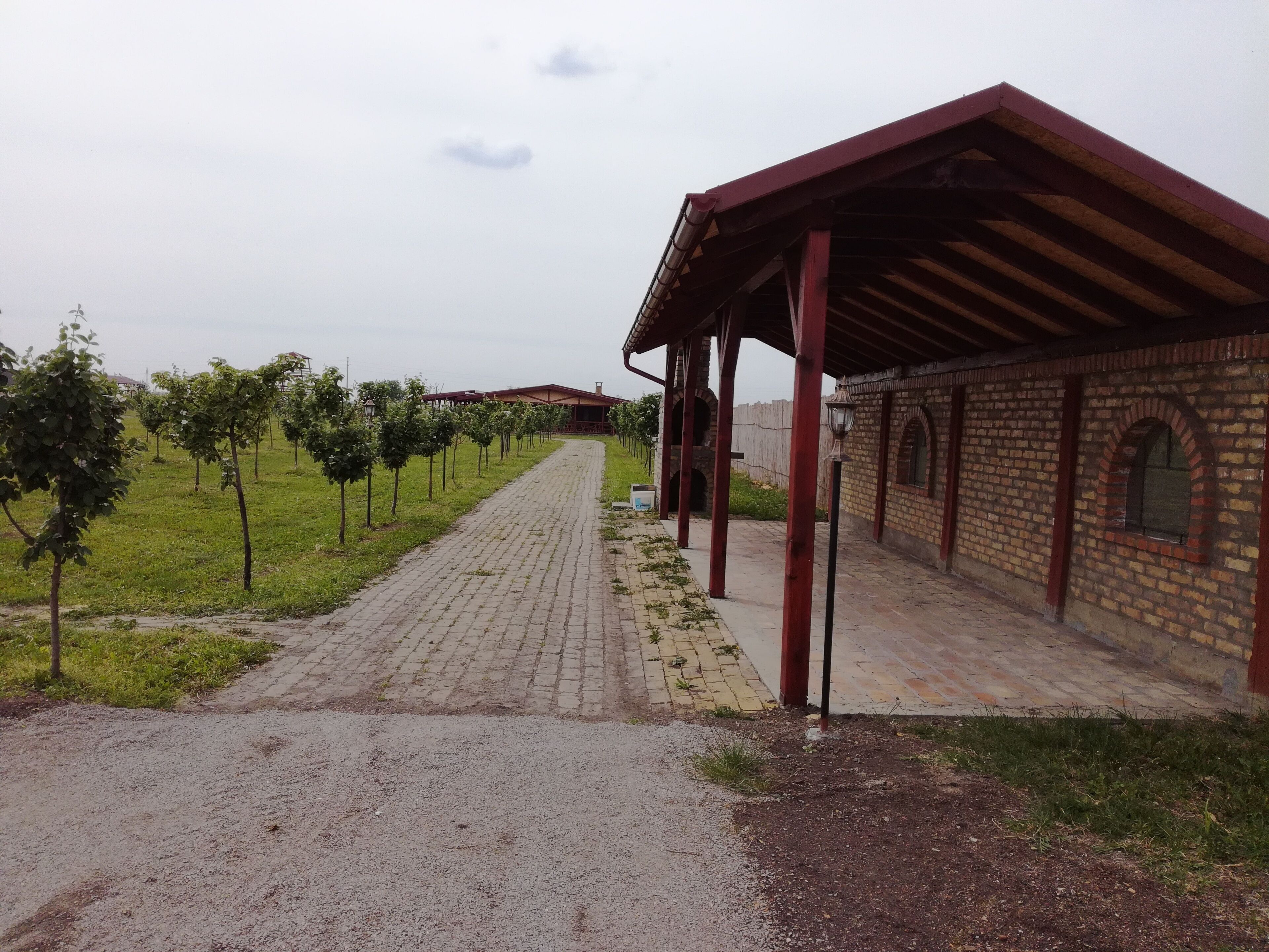 Salas Farma 47
