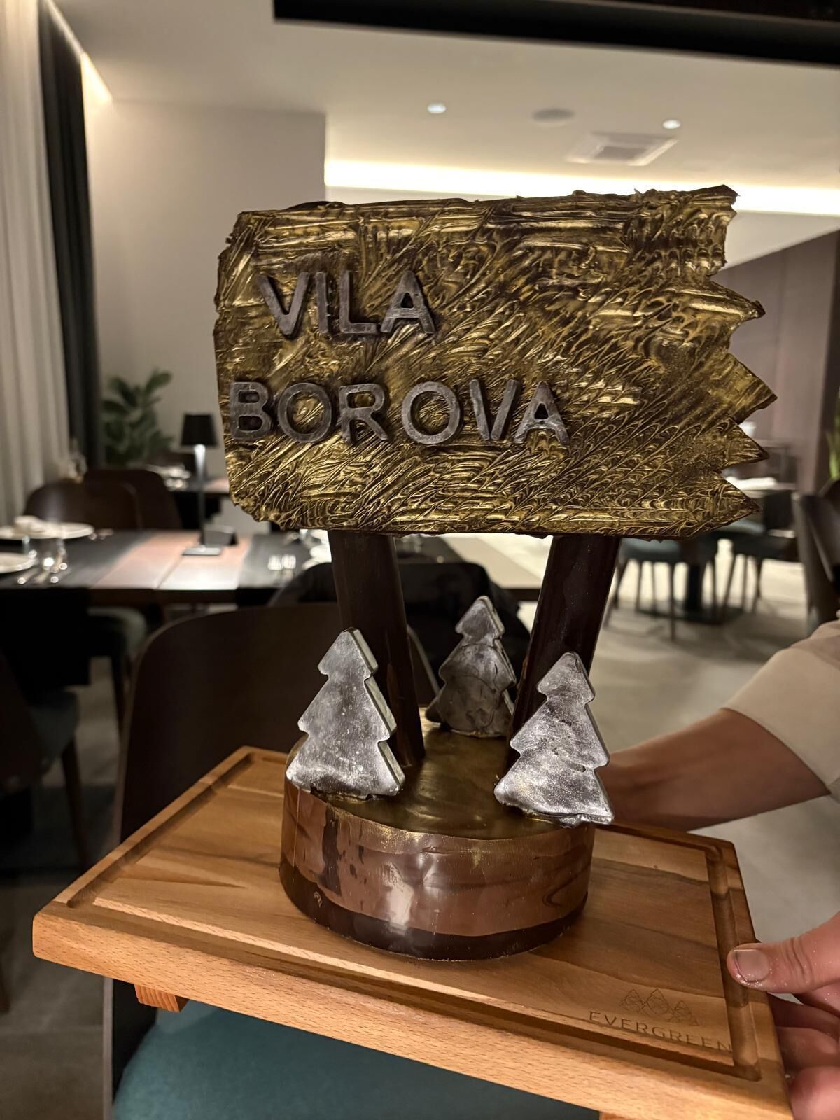 Vila Borova Wellness&SPA Resort