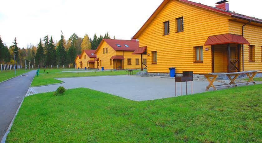 Dolina IVolga