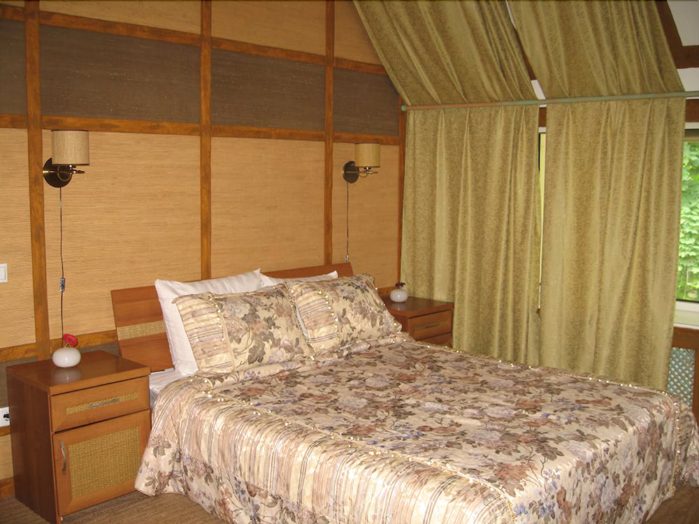Art Hotel Pushkino