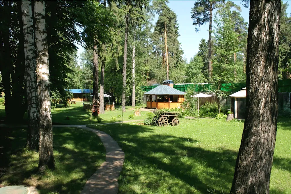 Art Hotel Pushkino