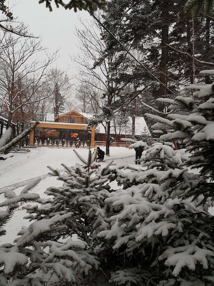 Dacha