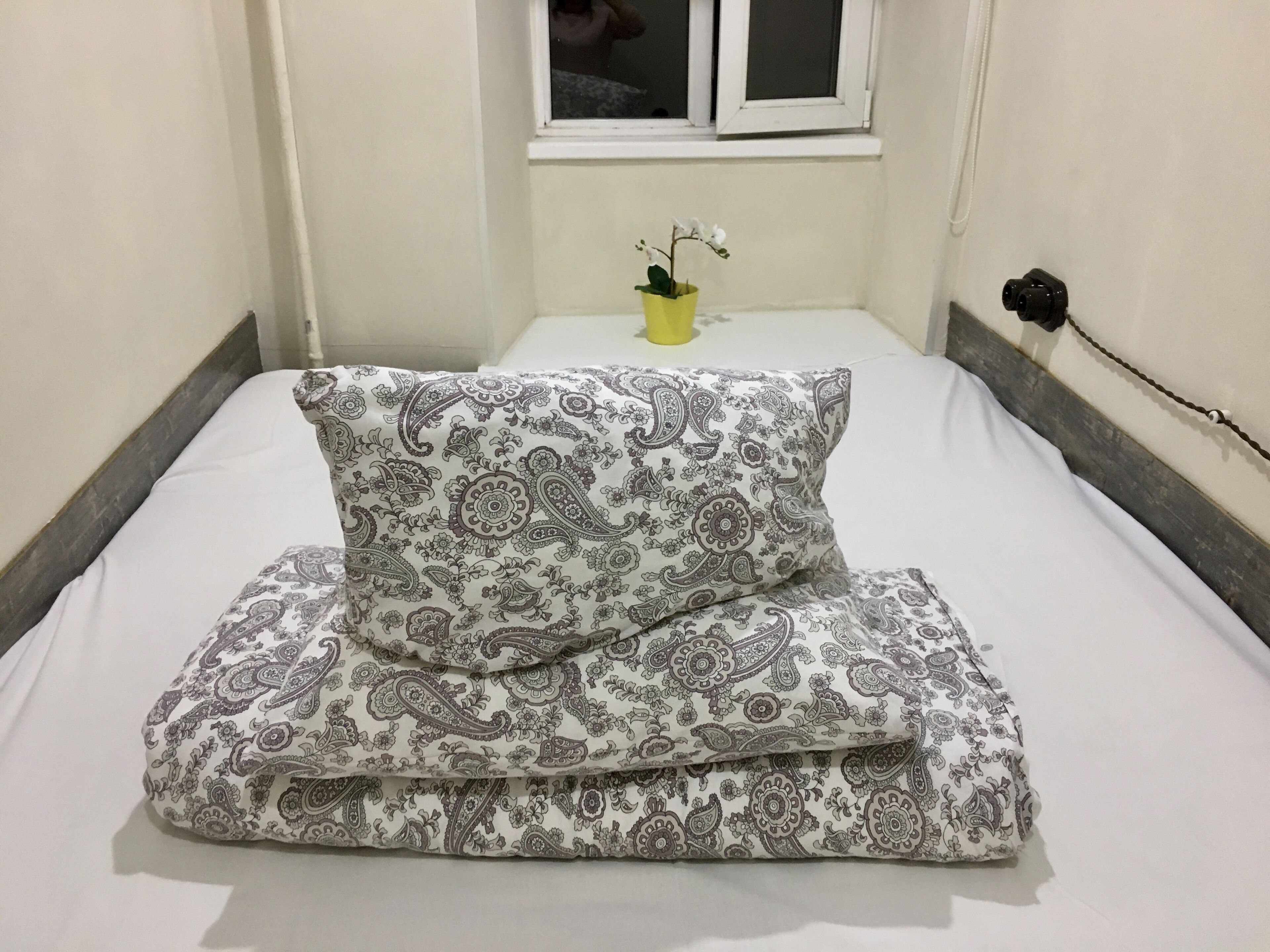 Pasternak Hostel
