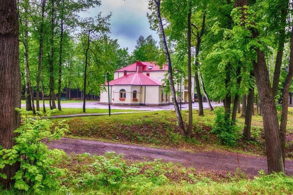 Kurkino Sport