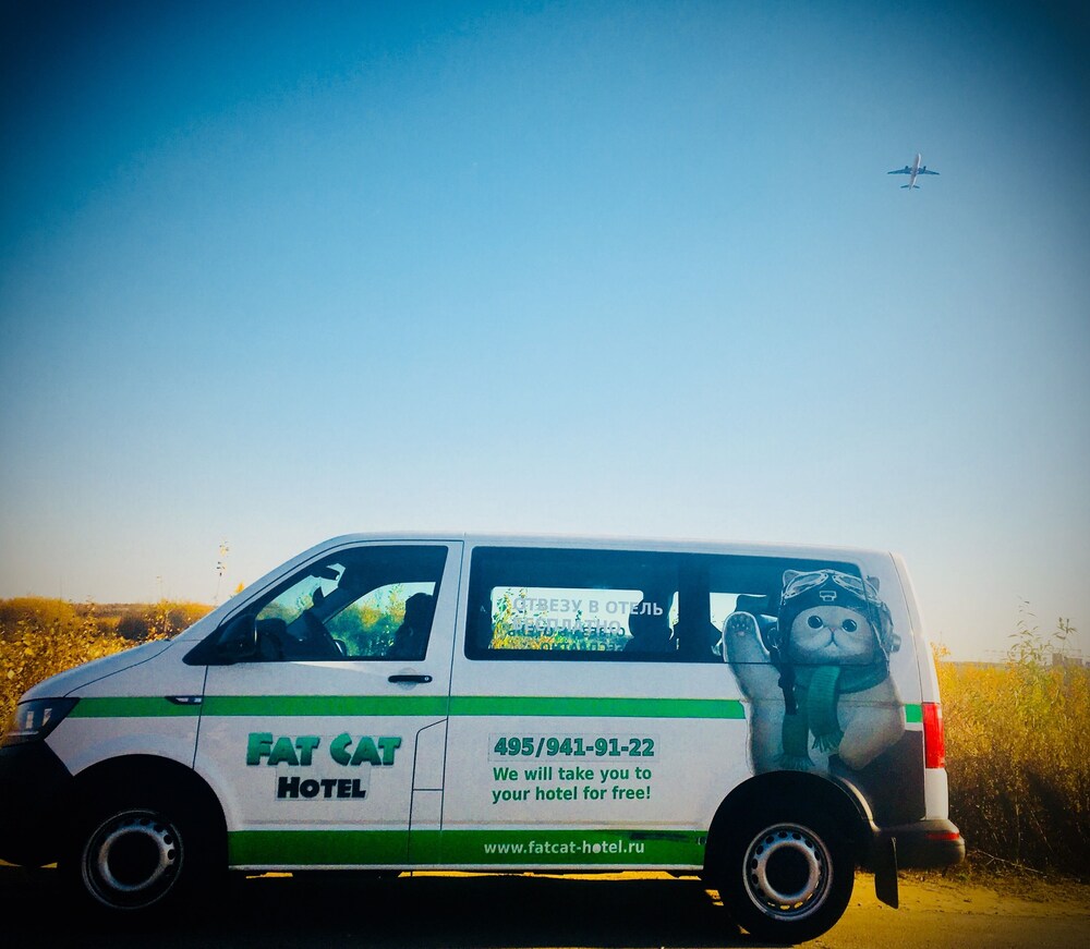 Fat Cat Hotel Domodedovo