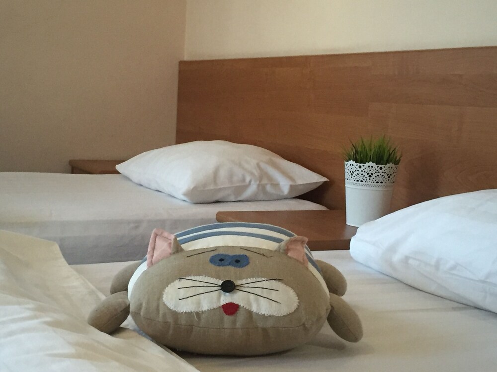 Fat Cat Hotel Domodedovo