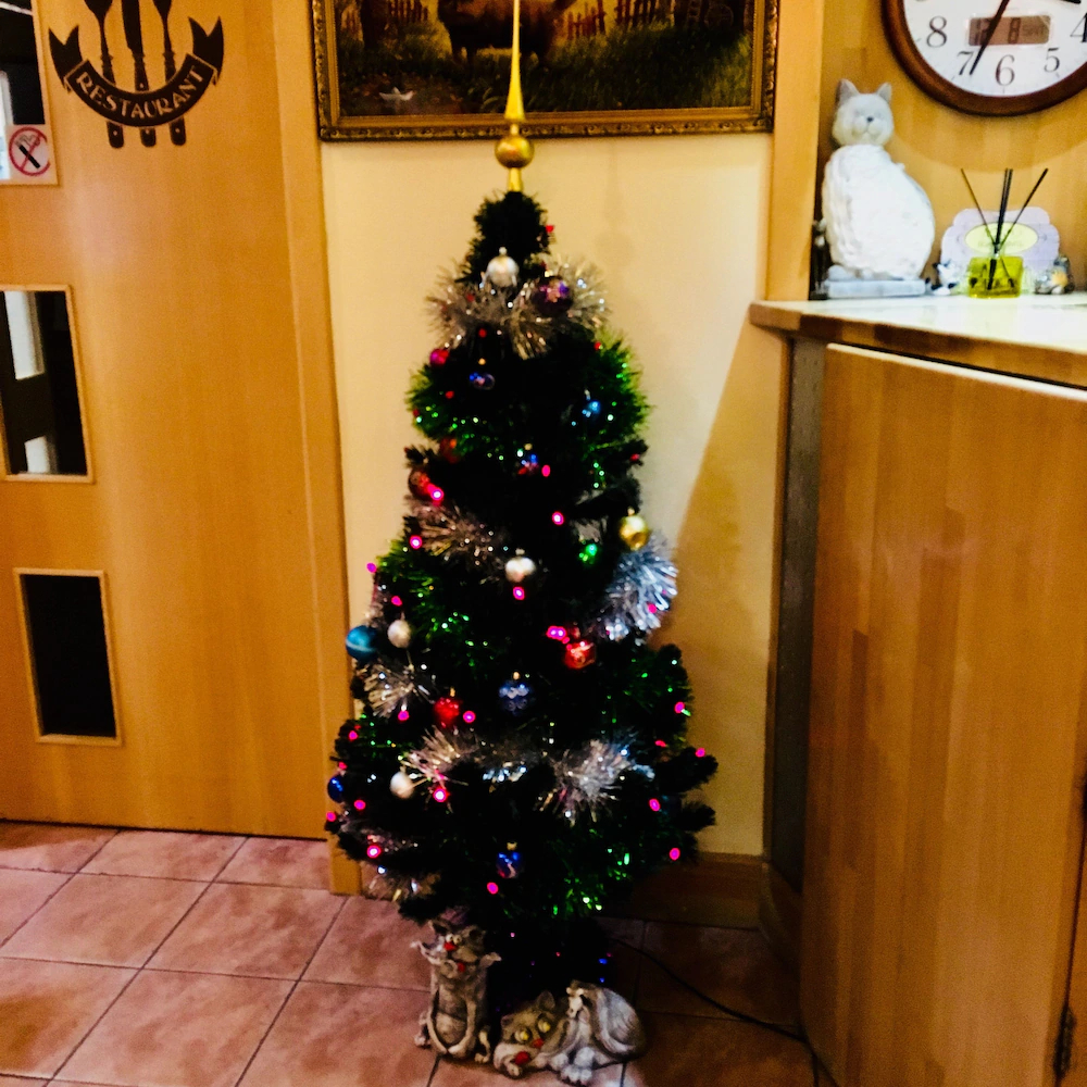 Fat Cat Hotel Domodedovo