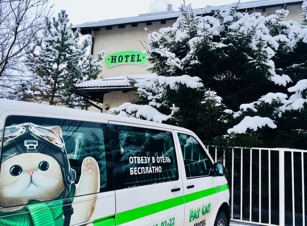 Fat Cat Hotel Domodedovo