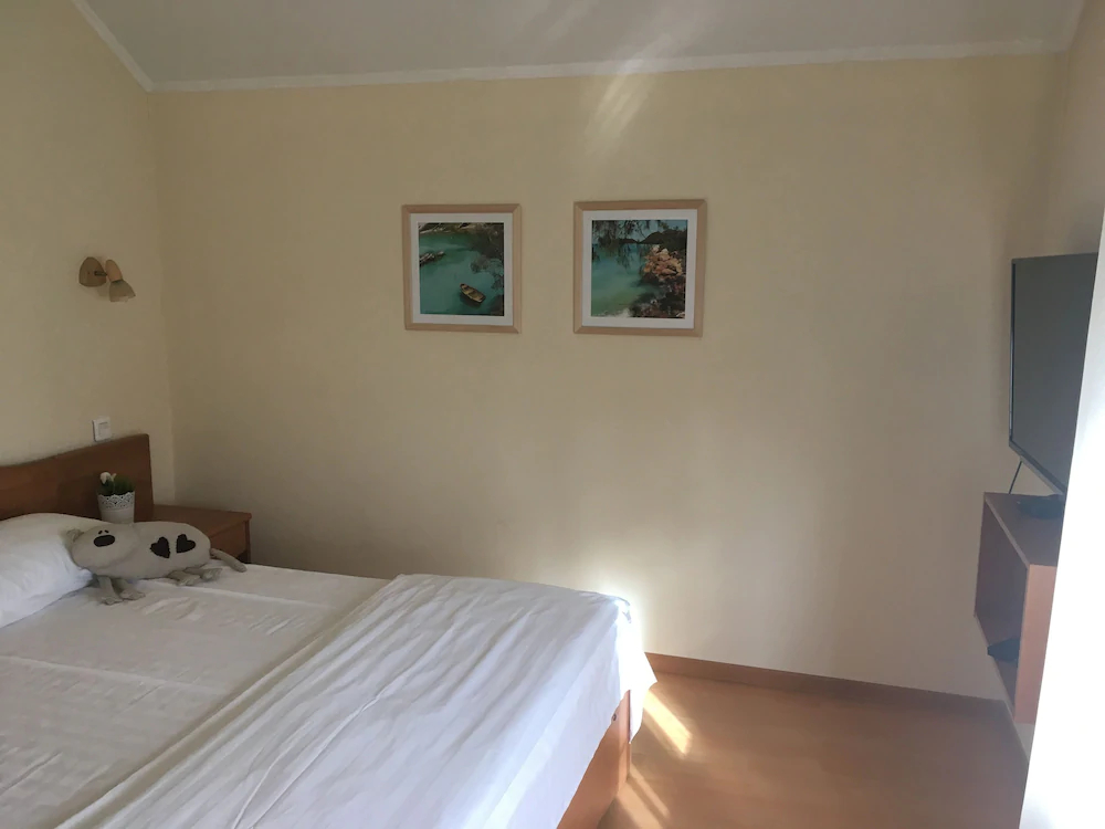 Fat Cat Hotel Domodedovo