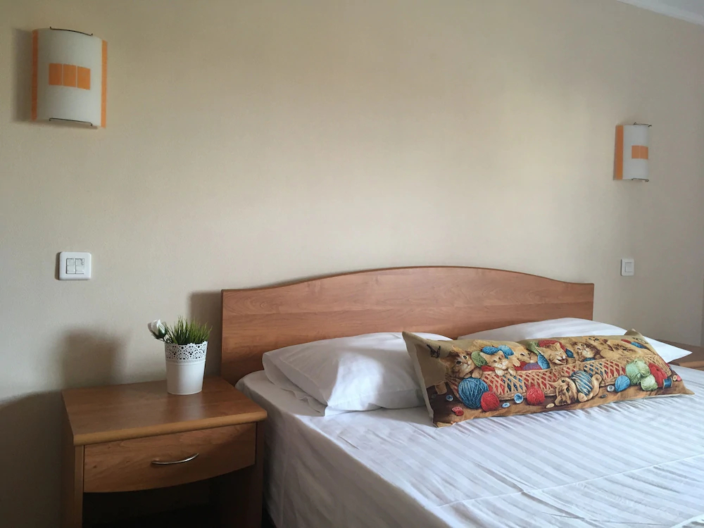 Fat Cat Hotel Domodedovo