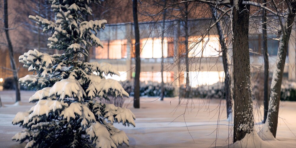 Arthurs Village & Spa Hotel