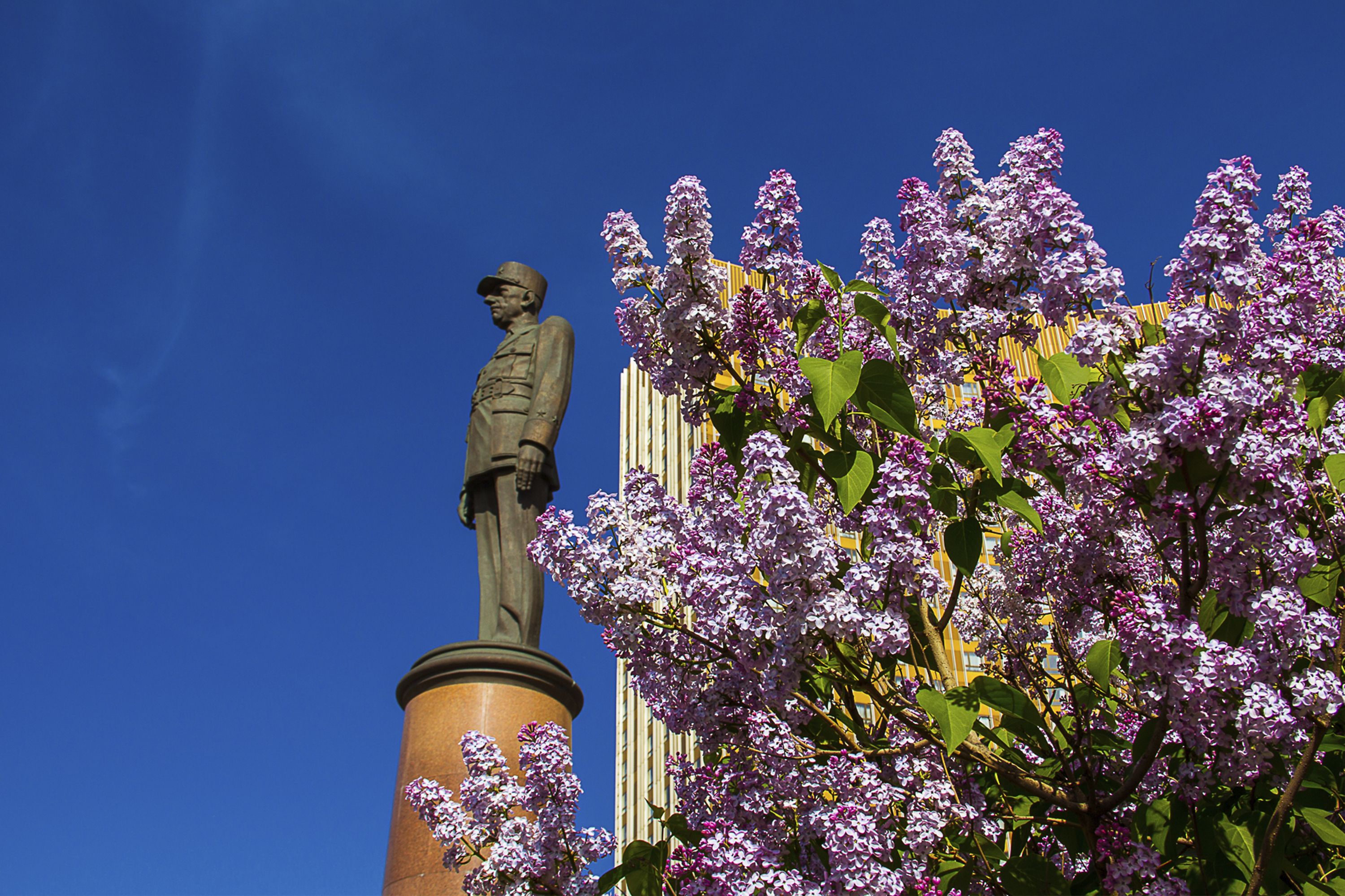 Cosmos Moscow VDNH Hotel