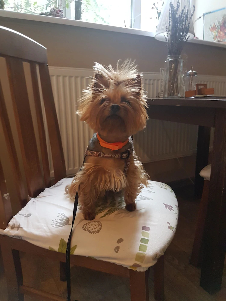 Croissant Bakery and Hotel