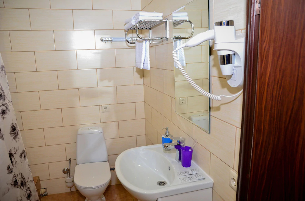 Hotel Alexandria Sheremetyevo