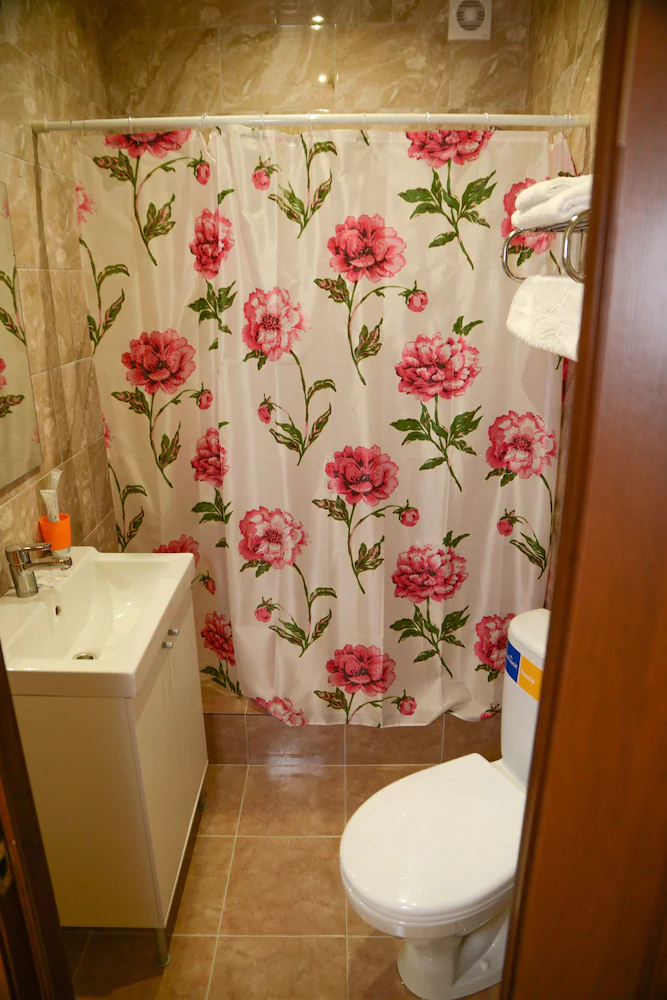 Hotel Alexandria Sheremetyevo