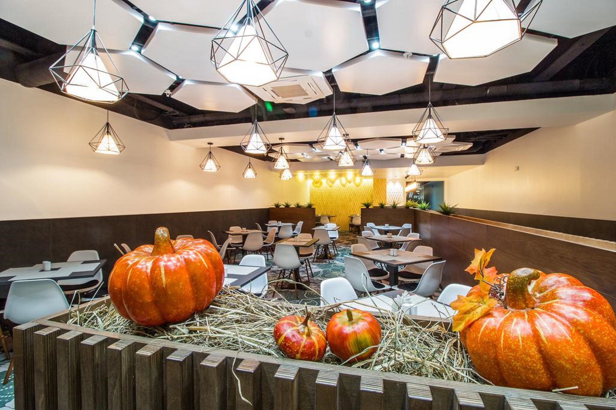 Sunflower Hotel Vnukovo