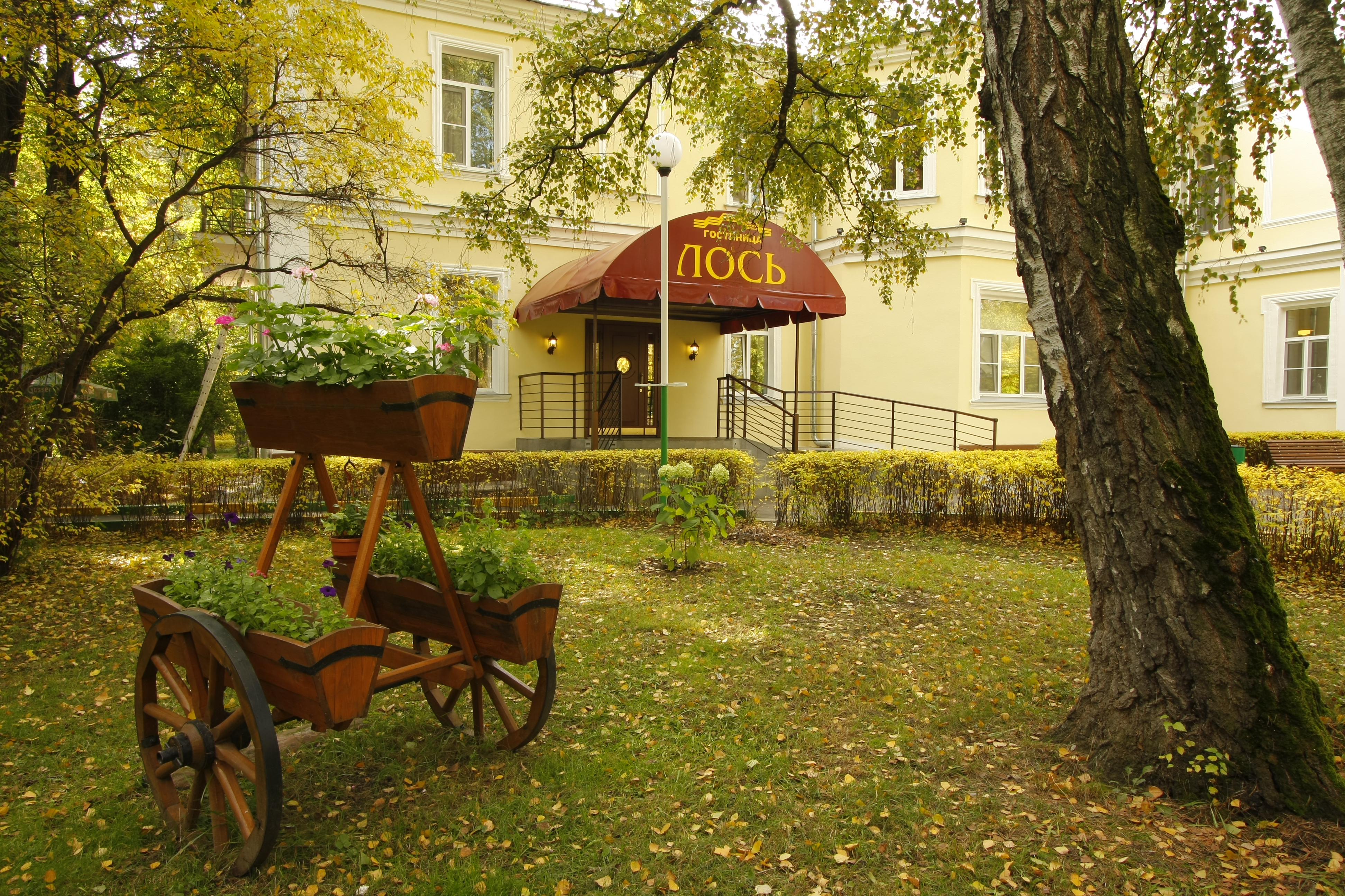 Los Hotel